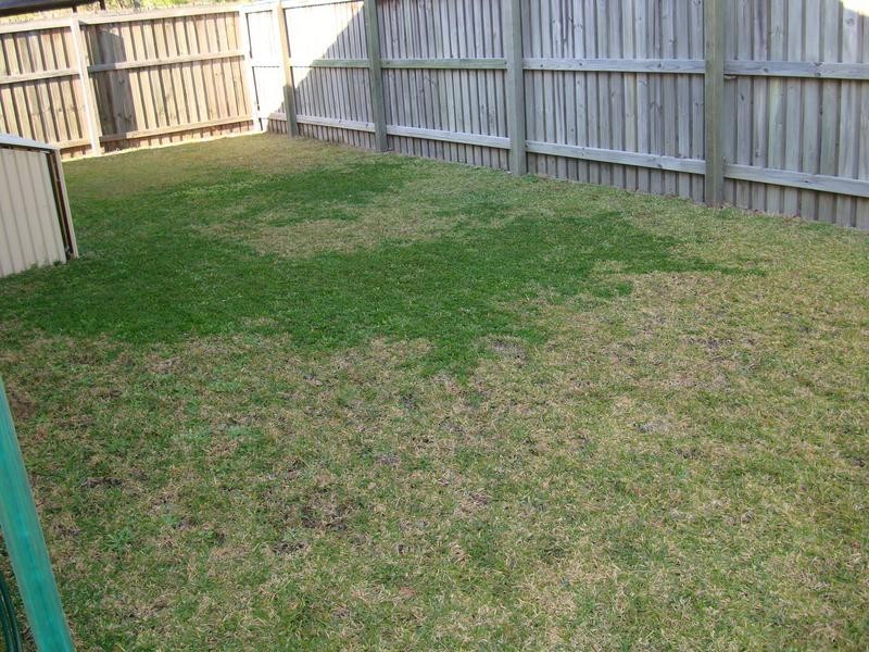 Kawana Island QLD 4575