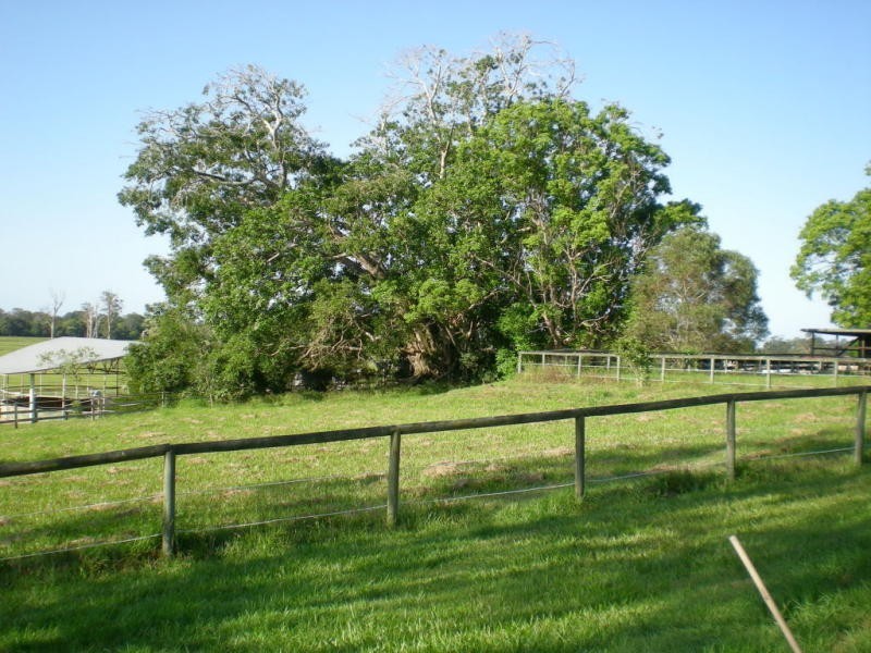 Meridan Plains QLD 4551