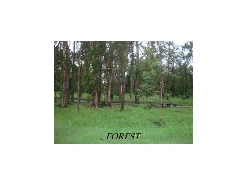 19 Lemonwood Street, Meridan Plains QLD 4551