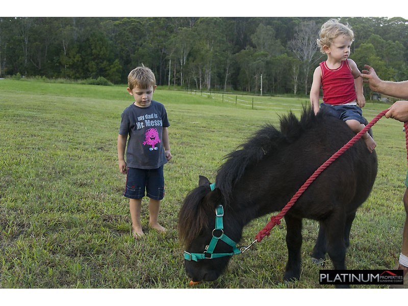 128 Wappa Falls Road, Yandina QLD 4561