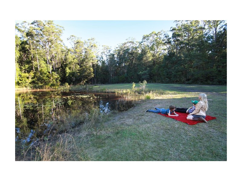 151 Sippy Creek Road, Tanawha QLD 4556