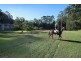 151 Sippy Creek Road, Tanawha QLD 4556