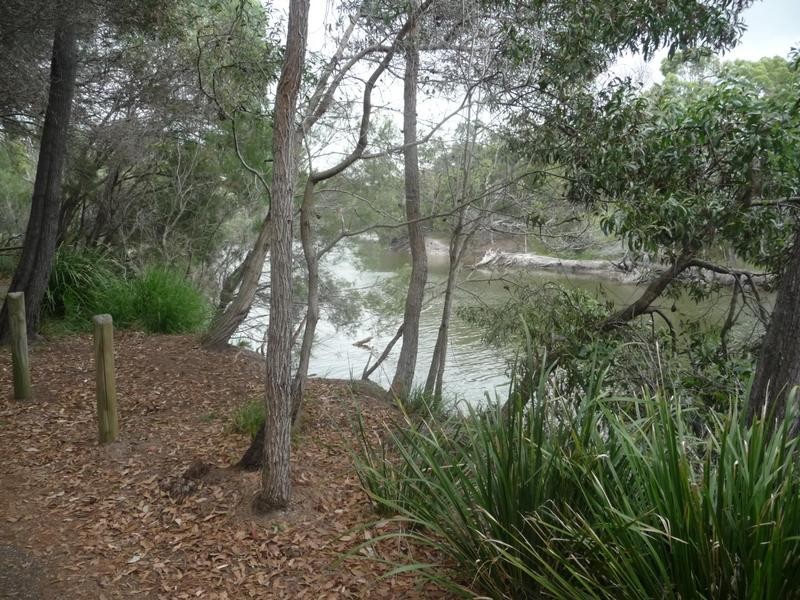 30 Creekside Boulevard, Currimundi QLD 4551