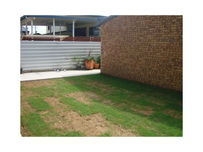 Warana QLD 4575