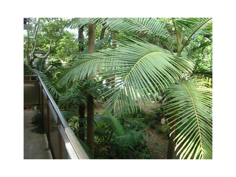 Buddina QLD 4575
