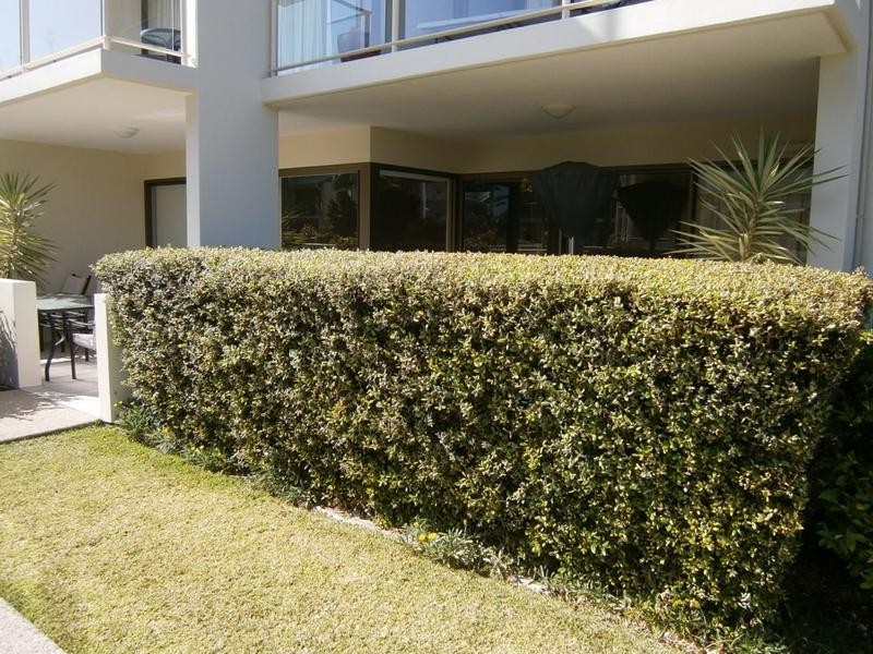 18/1 Grenada Way, Kawana Island QLD 4575