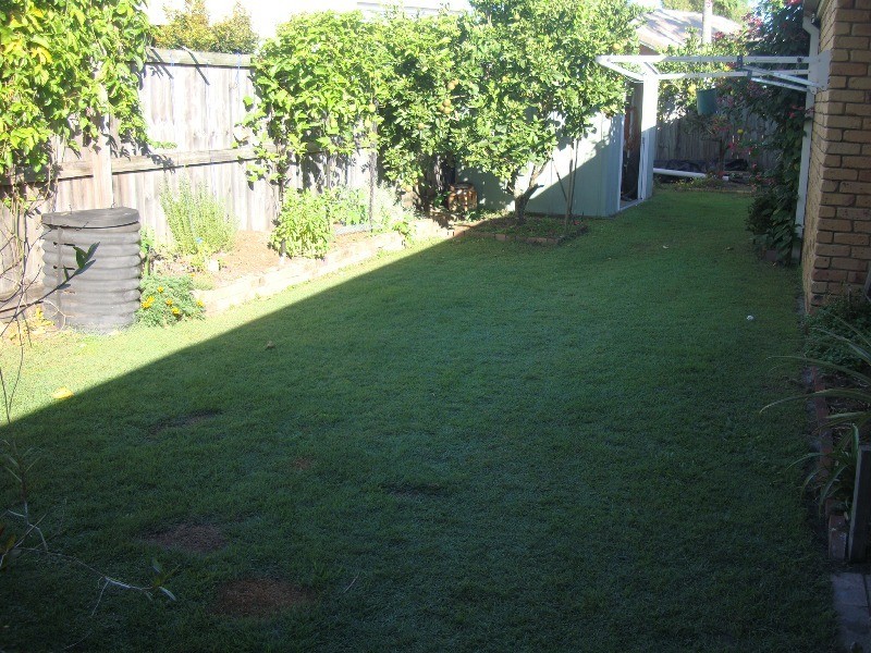 Minyama QLD 4575