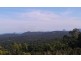 Buderim QLD 4556