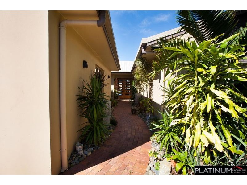36 Cypress Court, Minyama QLD 4575