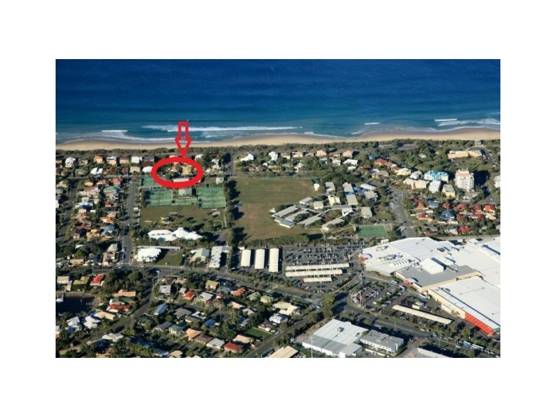 55 Iluka Avenue, Buddina QLD 4575