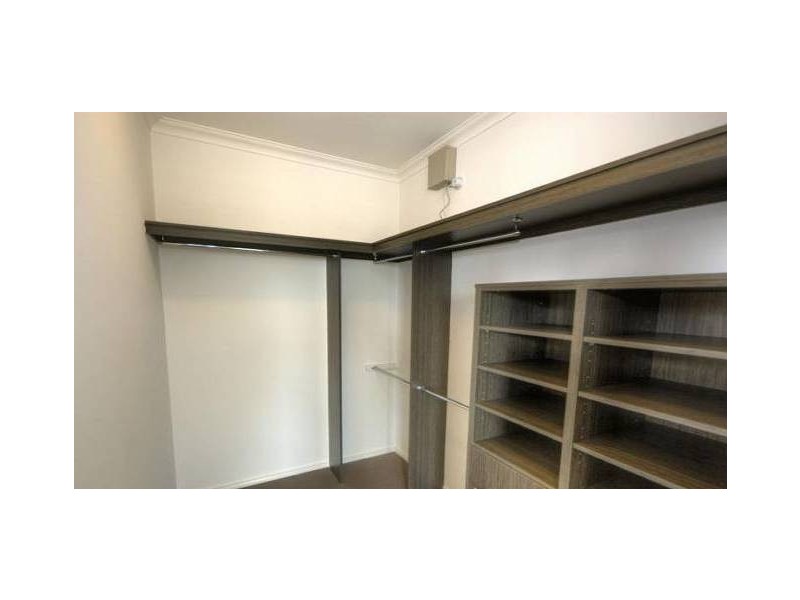 14 Ponytail Cct, Mountain Creek QLD 4557