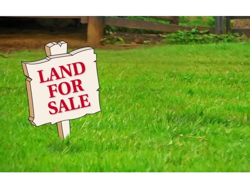 20 Sable Court, Kawana Island QLD 4575