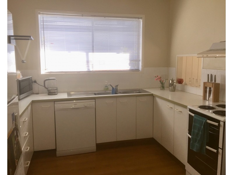 50 Oomoo Street, Buddina QLD 4575