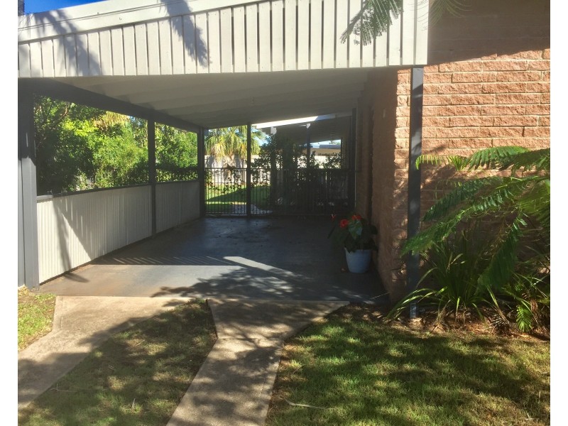 50 Oomoo Street, Buddina QLD 4575