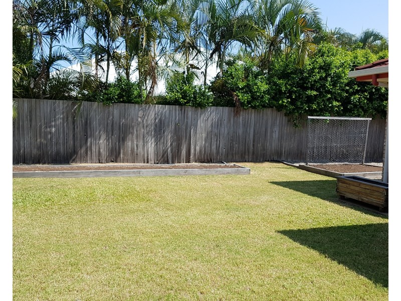 3 Kingfish Court, Mountain Creek QLD 4557