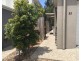 33/14 Photinia Crescent, Mountain Creek QLD 4557
