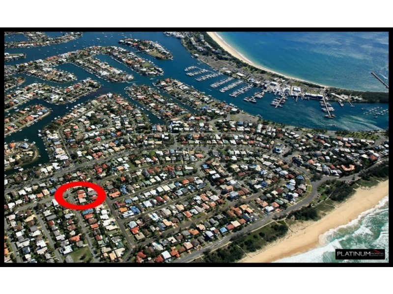 24 Undara Avenue, Buddina QLD 4575