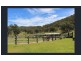 1017 Bluff River Road, Tenterfield NSW 2372