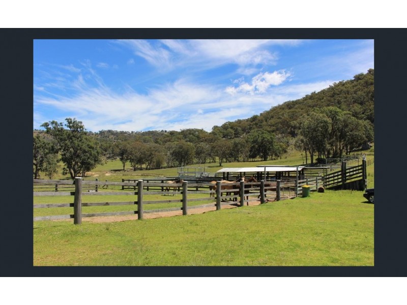 1017 Bluff River Road, Tenterfield NSW 2372