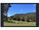 1017 Bluff River Road, Tenterfield NSW 2372