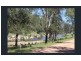 1017 Bluff River Road, Tenterfield NSW 2372