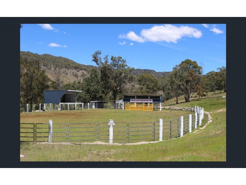 1017 Bluff River Road, Tenterfield NSW 2372