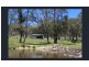 1017 Bluff River Road, Tenterfield NSW 2372