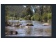 1017 Bluff River Road, Tenterfield NSW 2372