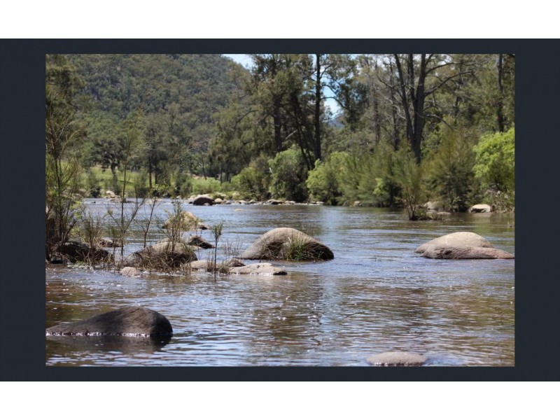 1017 Bluff River Road, Tenterfield NSW 2372