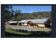 1017 Bluff River Road, Tenterfield NSW 2372