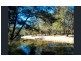 1017 Bluff River Road, Tenterfield NSW 2372