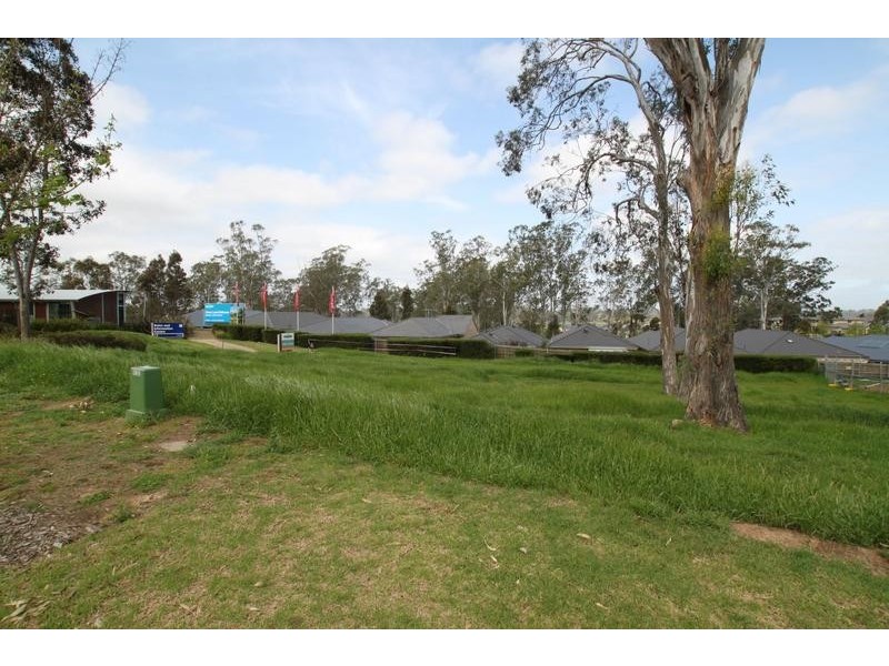 8 Young Avenue, Camden Park NSW 2570