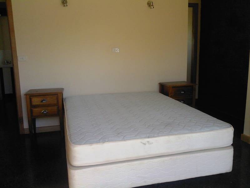 245 PORTREATH ROAD, Bellbrae VIC 3228