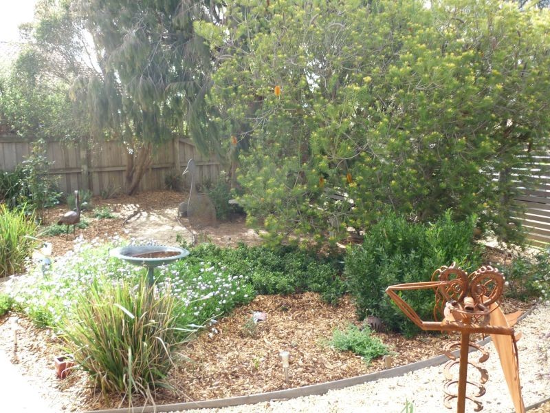 9 SEABIRD COURT, Torquay VIC 3228