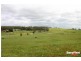 1370 Anglesea Road, Bellbrae VIC 3228