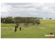 1370 Anglesea Road, Bellbrae VIC 3228