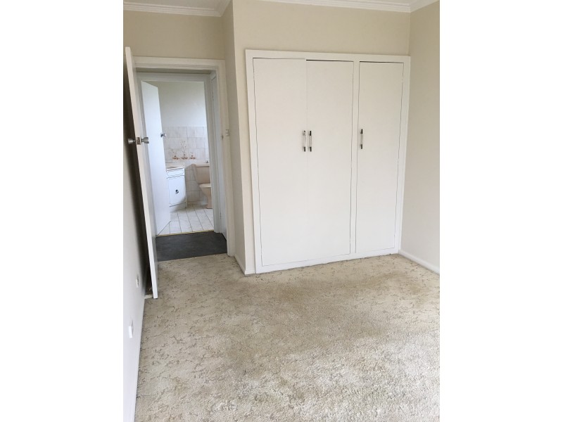 46 Geelong Rd, Torquay VIC 3228