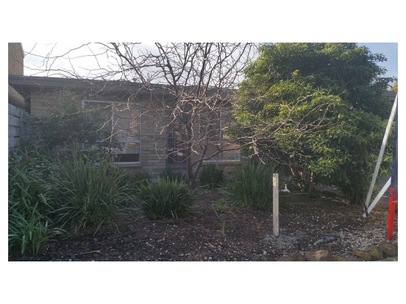 61 Greylea Ave, Herne Hill VIC 3218