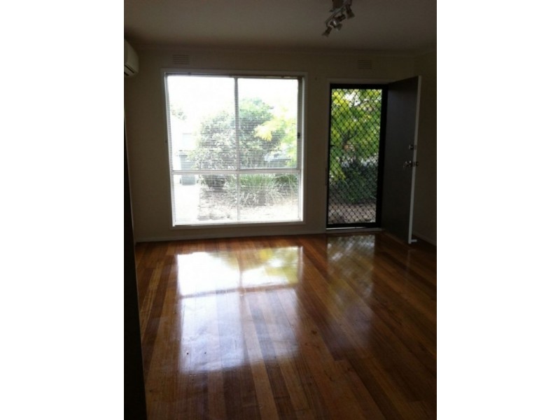 61 Greylea Ave, Herne Hill VIC 3218