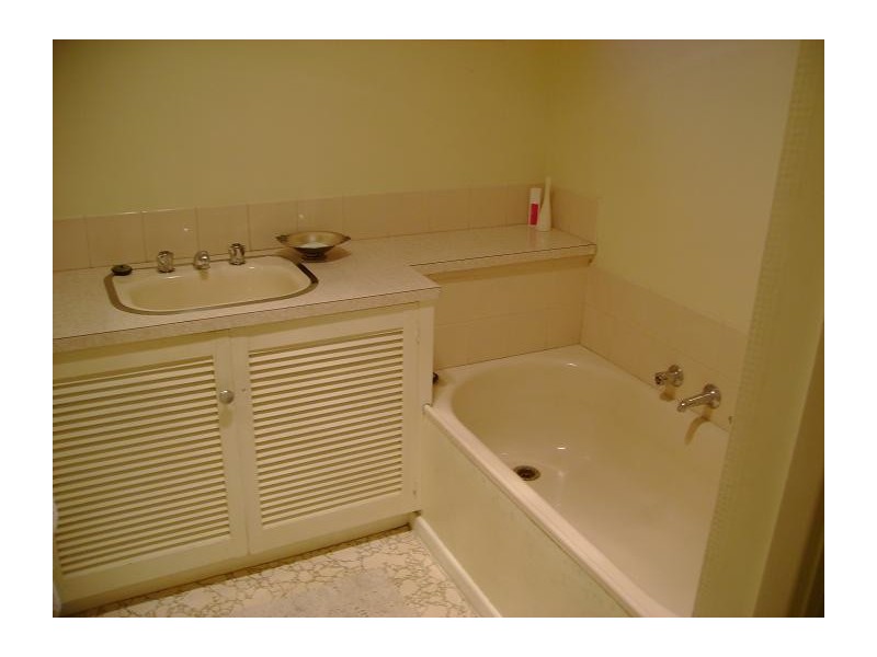 29 Boston Rd, Torquay VIC 3228