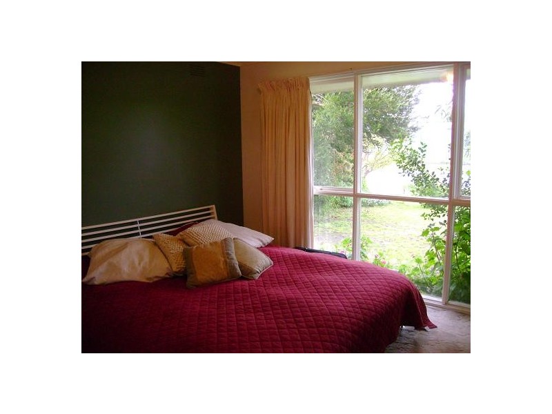 29 Boston Rd, Torquay VIC 3228