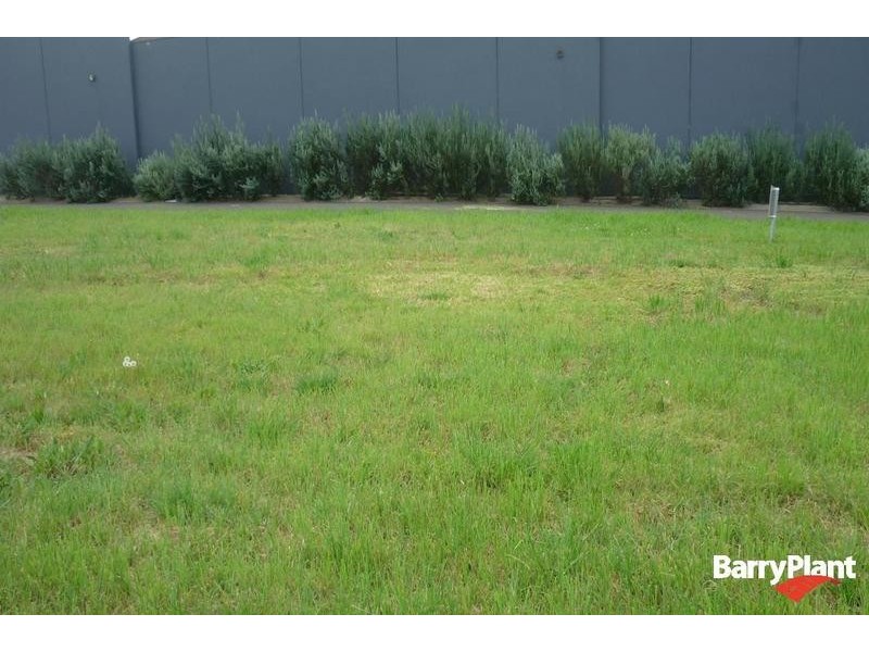 24 Boston Road, Torquay VIC 3228