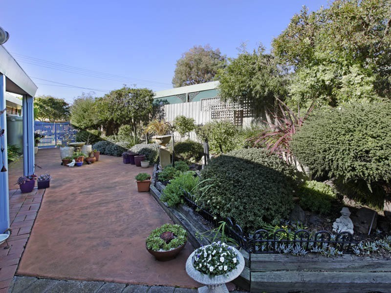 14 Crestmoor Ave, Highton VIC 3216
