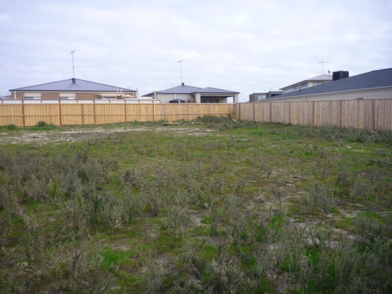 195 Fischer Street, Torquay VIC 3228