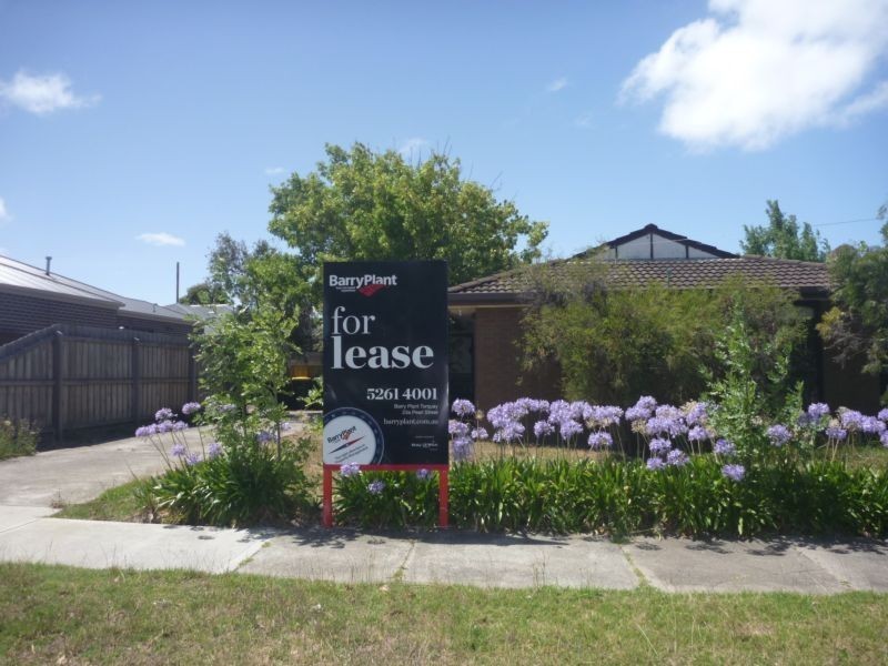 44 Laura Avenue, Belmont VIC 3216