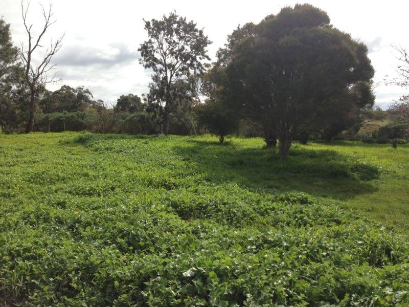 1070 Hendy Main Rd, Moriac VIC 3240