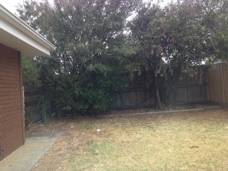 40 Price Street, Torquay VIC 3228