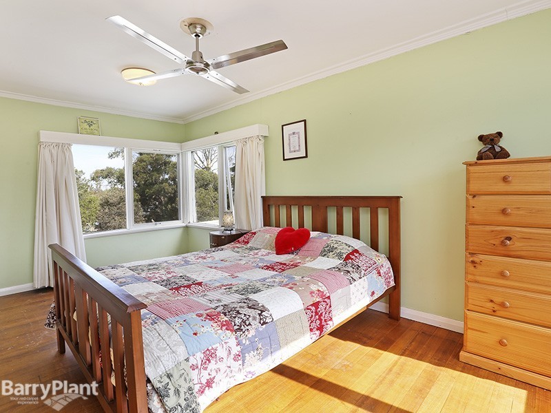 19 Puebla Street, Torquay VIC 3228