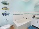 19 Puebla Street, Torquay VIC 3228