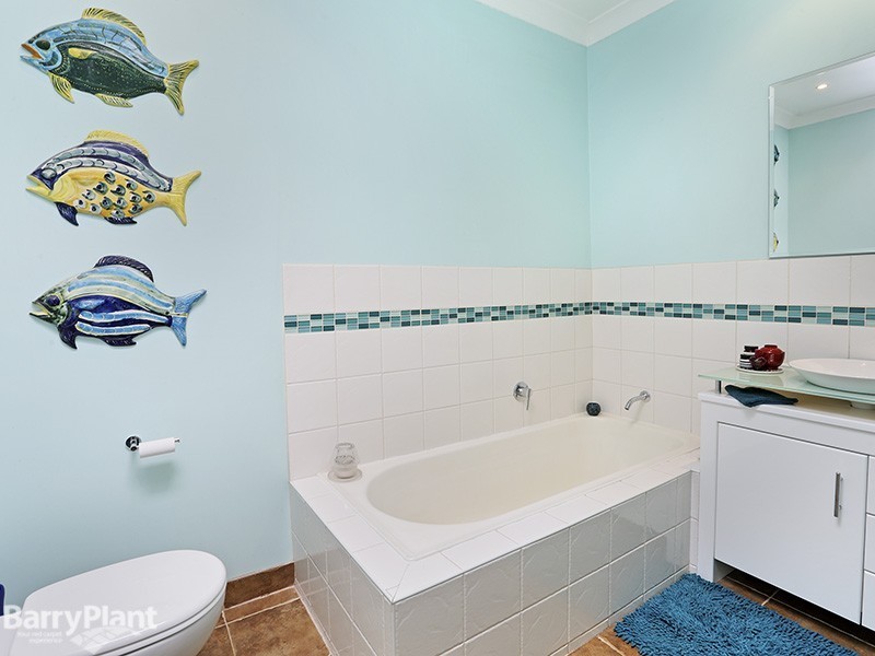 19 Puebla Street, Torquay VIC 3228